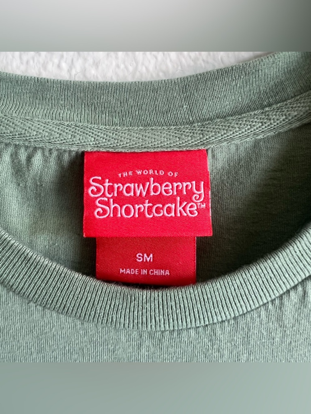 Strawberry Shortcake Huckleberry Pie  Embroidered Tee Green By BoxLunch SM - Picture 6 of 10